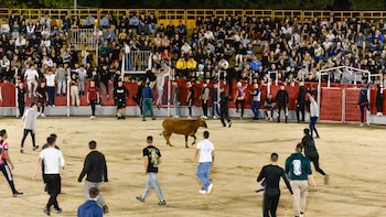 El pueblo madrileño donde gobierna la izquierda con el partido antitaurino Los Verdes y que se va a gastar 180.000 euros en encierros