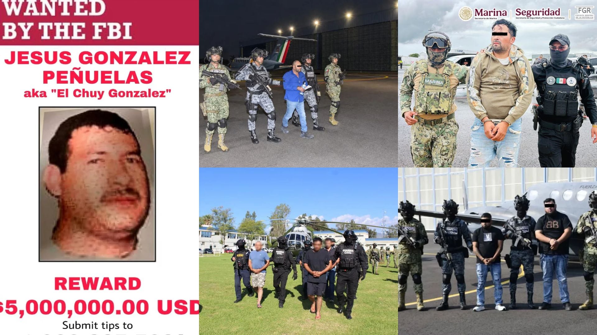 Cinco cárteles mexicanos, designados terroristas por EEUU, reciben duros golpes en 4 días