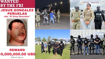 Cinco cárteles mexicanos, designados terroristas por EEUU, reciben duros golpes en 4 días