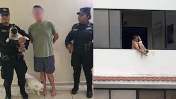 El Salvador: detienen a hombre acusado de maltrato animal tras sostener a un perro por las patas desde un balcón