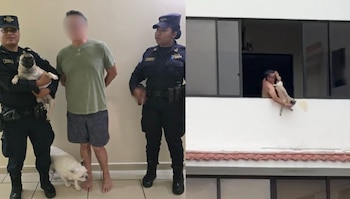 La institución policial comunicó que no tolerará acciones que vulneren a los animales. (Cortesía: PNC de El Salvador/Redes sociales)