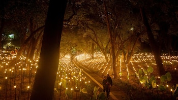 “Jardín Inconcluso” de Rafael Lozano-Hemmer