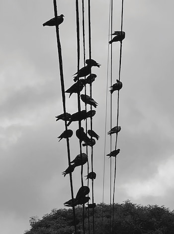 Bárbara Prajs encuentra belleza en