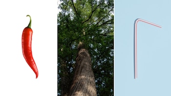 La mayoría de las palabras