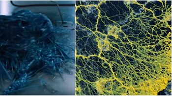 Como si fuera Venom: un