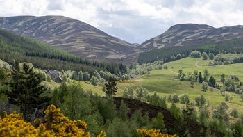 El parque más grande del