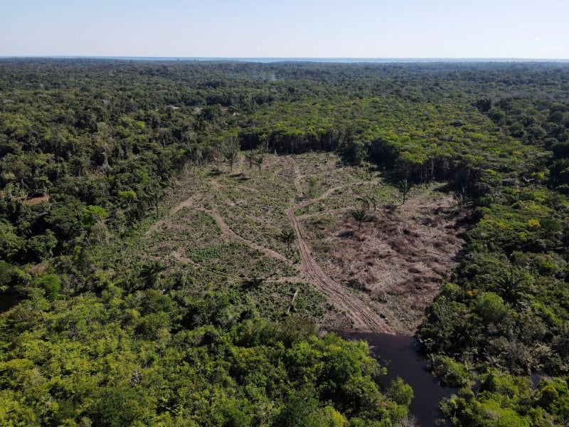 La deforestación en la Amazonía de Brasil cayó a su nivel más bajo desde 1988