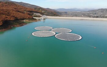 Los anillos flotantes permiten reducir