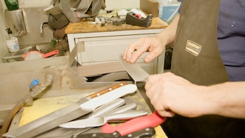 Raposo ha trabajado para muchos