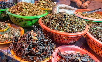 El desarrollo de sistemas alimentarios