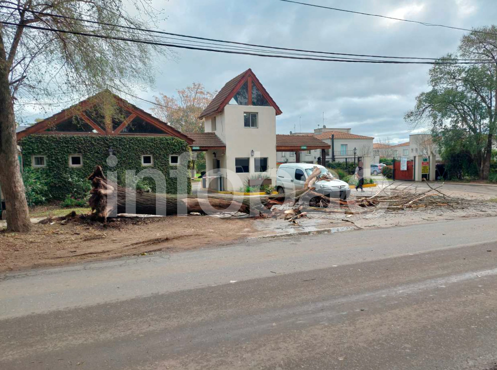 El Juzgado Contencioso Administrativo N° 2 de San Isidro sostuvo que el municipio debe controlar y mantener el arbolado público para prevenir daños a personas y bienes. (Poder Judicial)