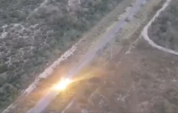 En el breve video se