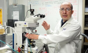 Luis Antonio Ladino Moreno, doctor