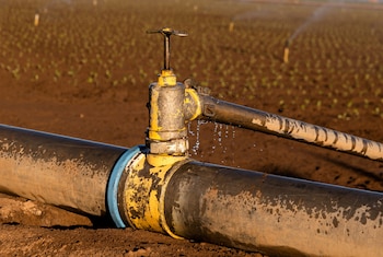 El cultivo intensivo, especialmente de alfalfa, sigue siendo uno de los mayores consumidores de agua en el área, superando por amplio margen a otros sectores (REUTERS/Caitlin Ochs/File Photo)