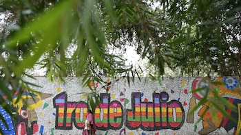 En fotos: El arte guatemalteco y el reciclaje se toman la colonia 1ero de Julio con coloridos murales ecológicos