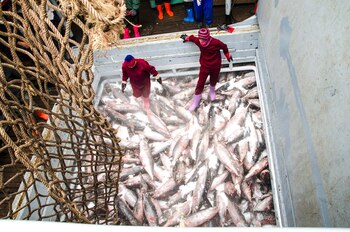 Muchos de los países que