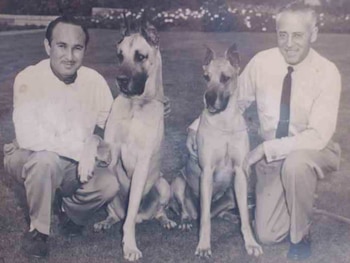 Se convirtieron en una de las principales familias cafetaleras y banqueras del país, formando parte de las llamadas "14 familias" que dominaron la economía salvadoreña. (Fotografía retomada de El Diario de Hoy)