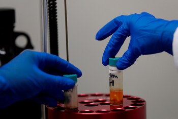 Investigadores trabajan en el Instituto