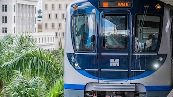Vista frontal de un tren Metrorail azul y blanco, con palmeras en primer plano y edificios de fondo, en la estación Dadeland South