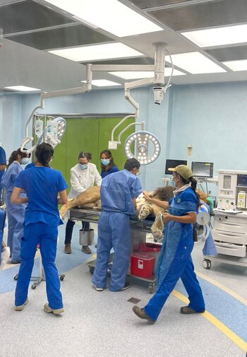 El espacio está equipado con