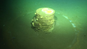 Durante gran parte del siglo