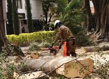 Intervención tempranera de las autoridades
