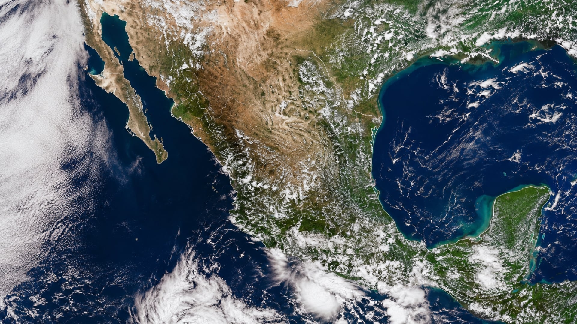 EN VIVO | Clima CDMX y resto de México hoy miércoles 5 de agosto: lista de estados que serán afectados por la onda tropical 24