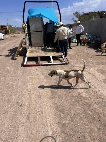 La Fiscalía investiga el caso