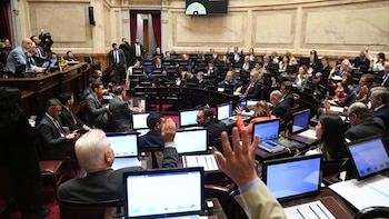 El Senado aprobó un acuerdo con dos holdouts por USD 171 millones y ahora Diputados debe votarlo en junio