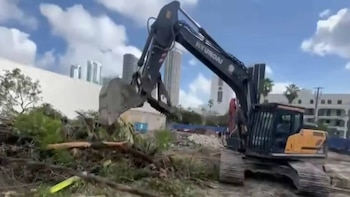 Vecinos de Miami exigen frenar los permisos de tala de árboles por riesgo de inundaciones y calor extremo