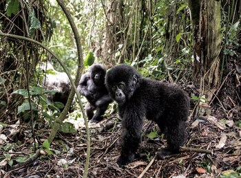 El crecimiento poblacional de los