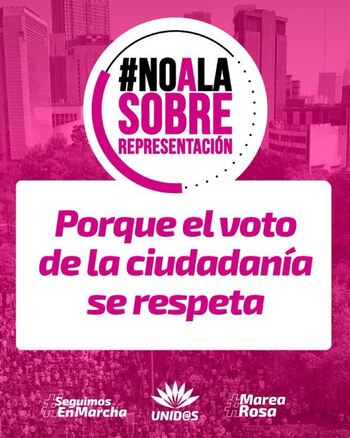 Flyer de la convocatoria de la Marea Rosa para protestar contra la sobrerrepresentación de Morena