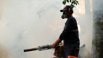 La crisis de combustible frena las fumigaciones mientras el dengue avanza con fuerza en Cuba