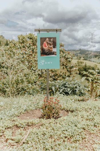 La familia tiene la posibilidad