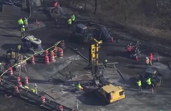 Autoridades confirman la existencia de