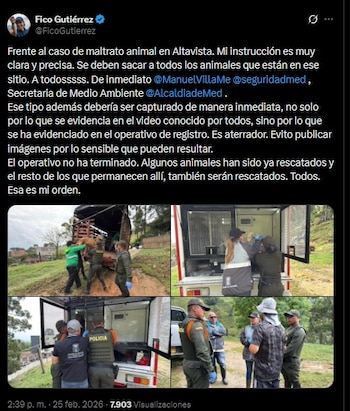 El operativo permitió encontrar cuatro