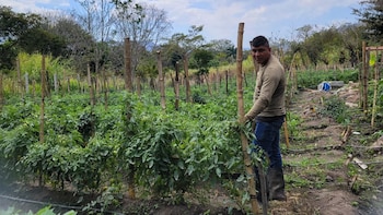 El calor extremo y la sequía elevan riesgos para el sector agropecuario guatemalteco