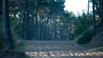 La justicia valoró las pericias