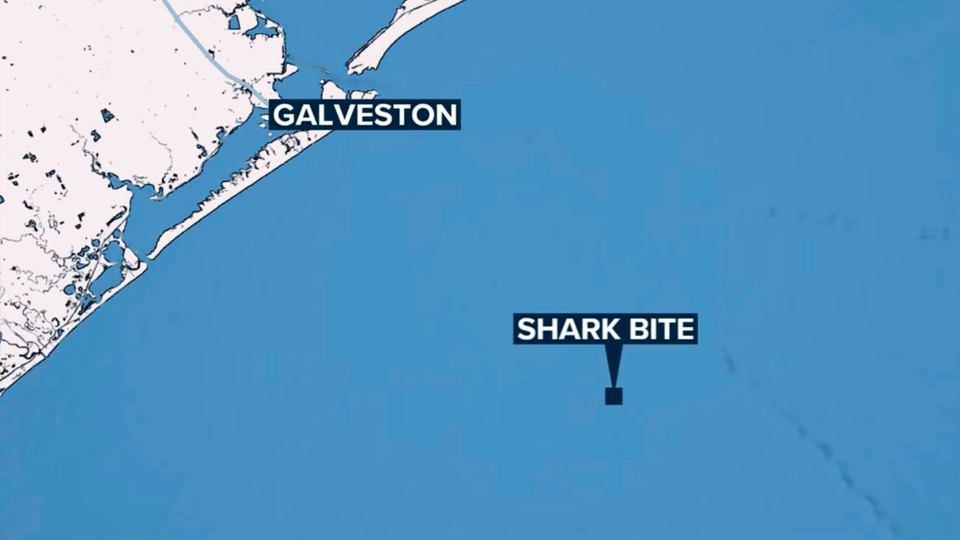 La embarcación en la que navegaban sufrió una avería tras el ataque de tiburón, complicando la evacuación y evidenciando riesgos de emergencia en alta mar