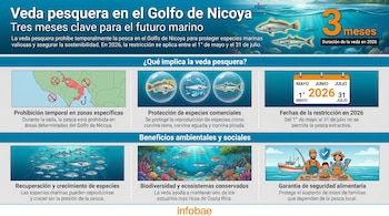 Infografía sobre la veda pesquera en el Golfo de Nicoya con mapas de áreas restringidas, peces, un calendario de 2026 y una familia de pescadores.