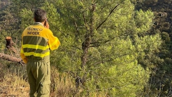 Más de 50 efectivos continúan con las labores de extinción del incendio de Pinofranqueado (Cáceres)