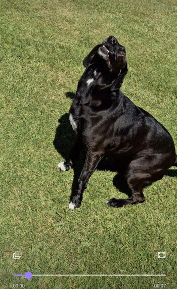 La opción video snap que