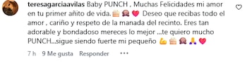 punch cumpleaños
