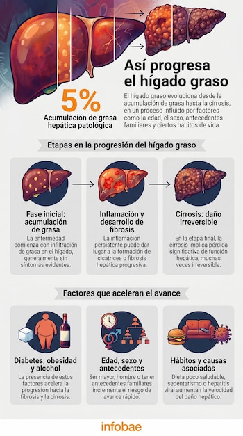 Infografía con ilustraciones de un hígado humano que muestran la progresión de la enfermedad desde la acumulación de grasa hasta la cirrosis, e iconos de factores de riesgo.