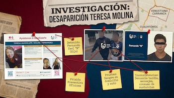 Las inconsistencias de Fernando Yael que lo llevaron a prisión como sospechoso de la desaparición de su mamá
