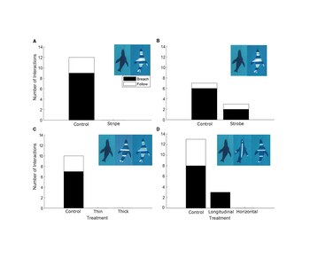 Prototipos de luces LED en