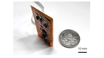 El sistema permite diagnosticar el