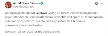 La directora del Icbf se pronunció sobre el estado de salud de Gustavo Gallón - crédito @AstridCaceresC/X
