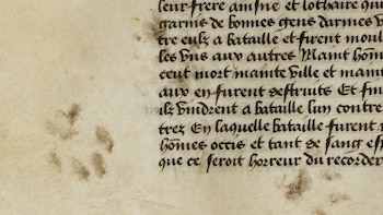 Unas huellas felinas de hace