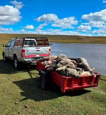 Las autoridades de la escuela